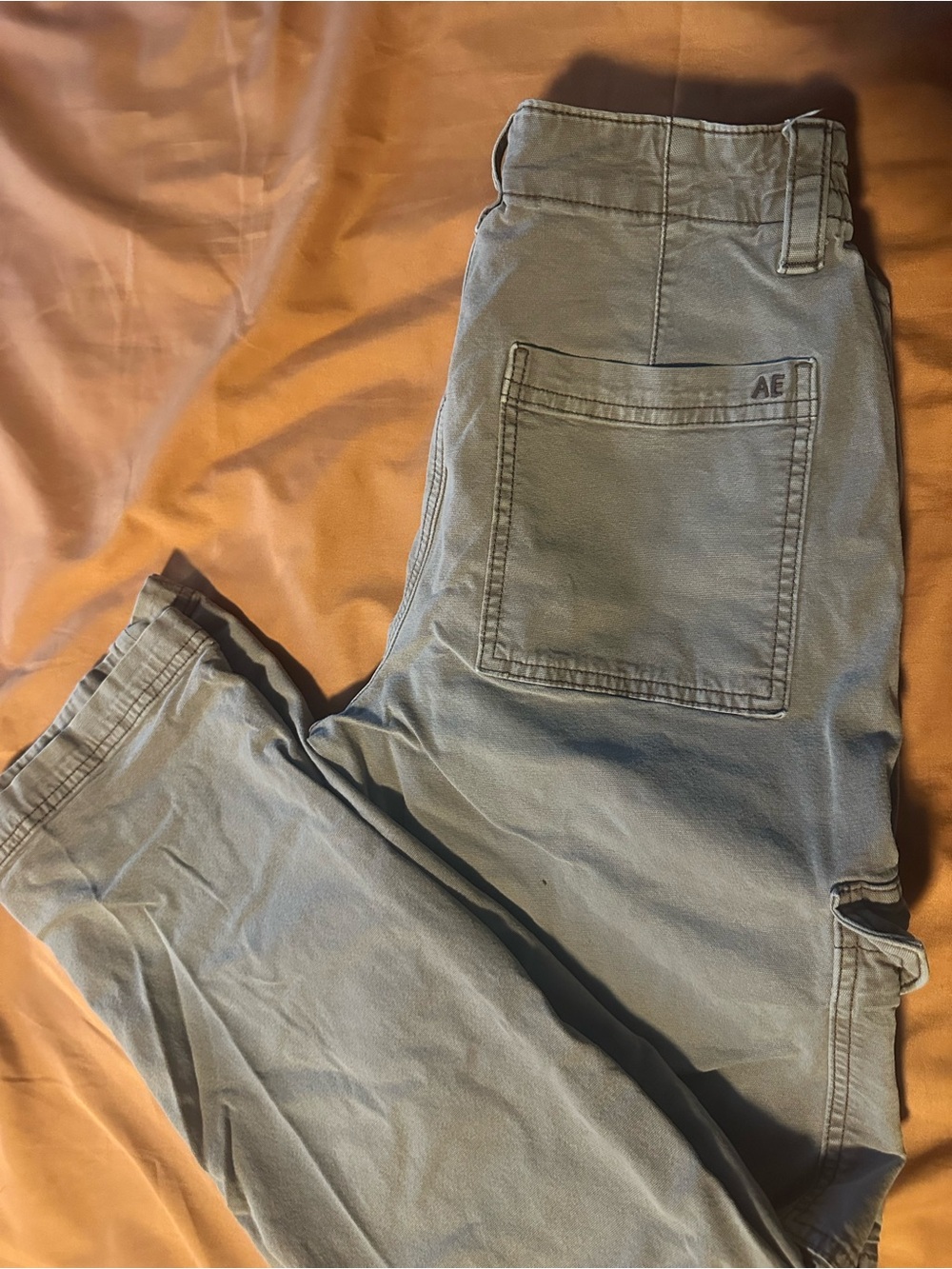 American Eagle Women’s Cargo Pants 4R